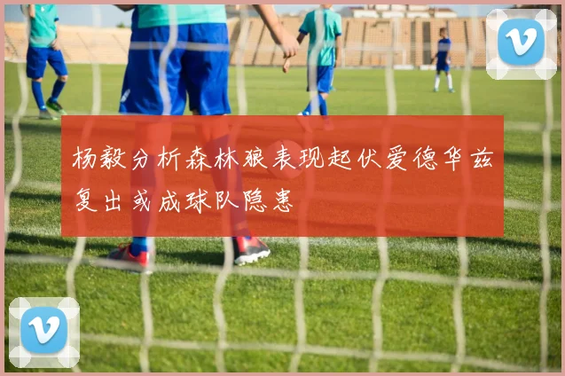 杨毅分析森林狼表现起伏爱德华兹复出或成球队隐患