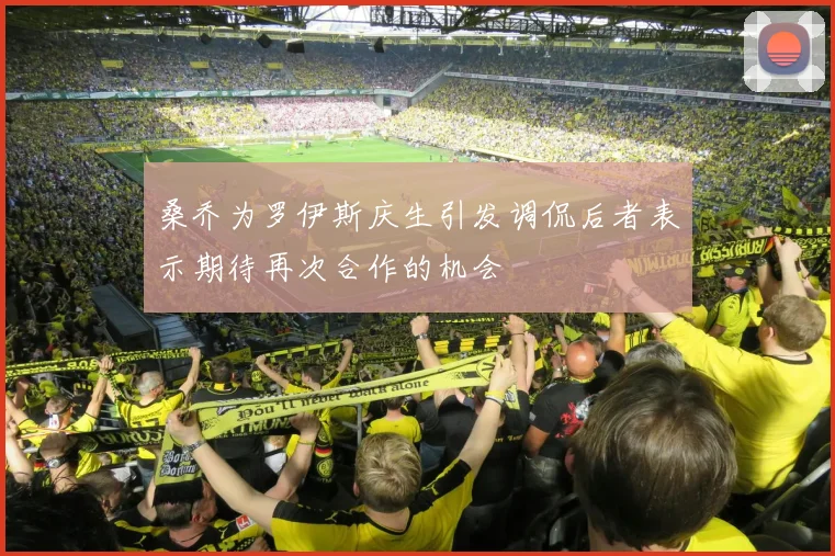 桑乔为罗伊斯庆生引发调侃后者表示期待再次合作的机会