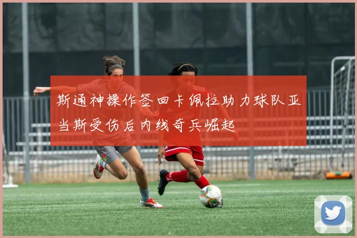 斯通神操作签回卡佩拉助力球队亚当斯受伤后内线奇兵崛起